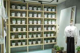 滬上文藝實驗室揭牌 以文化經(jīng)紀人服務(wù)為引擎，開啟文創(chuàng)產(chǎn)業(yè)跨界探索新篇章